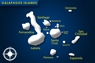 Map of the Galapagos Islands