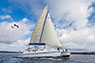 Nemo III Motor Sail Catamaran