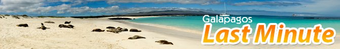 Galapagos Cruises Last Minute